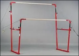 Quel est l'agrs reprsent sur l'image ?