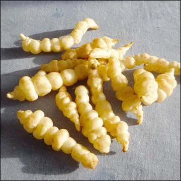 Retrouvez la bonne orthographe...