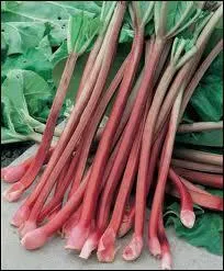 A votre avis, quelle est la bonne rponse