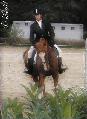 Quand on monte  cheval , qu'est-ce qu'on est oblig d'avoir ?