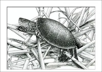 Comment se nomme cette action ?