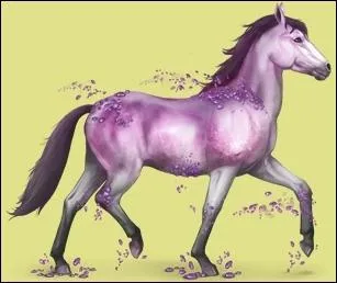 Comment pouvait-on gagner Amthyste ?