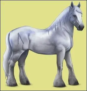 Combien y a t-il de Greyfell ?