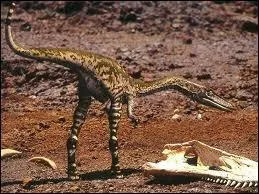 Quel est le plus ancien dinosaure dcouvert parmi cela ?