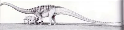 Quel est le dinosaure le plus long ?