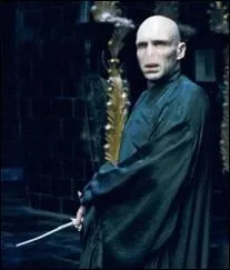 Je joue le rle de Lord Voldemort. Je suis :