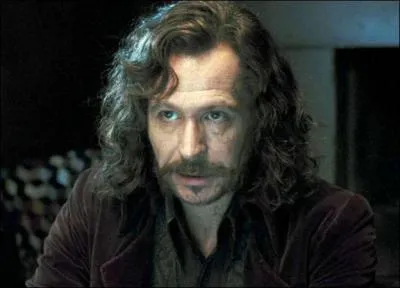 A la fin du film/livre, Harry dcouvre que Sirius Black est ... ?