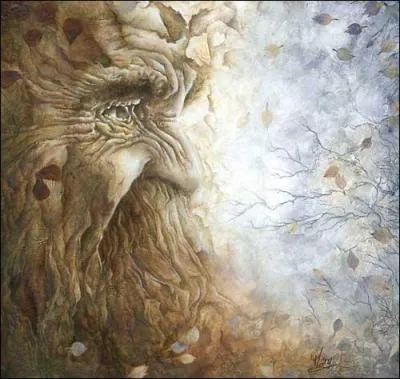 Quelle tait la particularit de Merlin  sa naissance ?