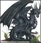 Qui a dcouvert toutes les proprits du sang de dragon ?