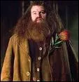 Hagrid est :