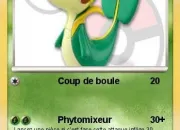 Quiz Que sais-tu sur les cartes Pokmon ?