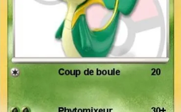 Quiz Cartes