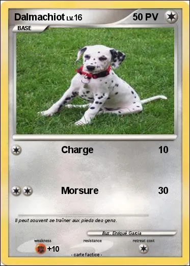 Dalmachiot est de type :