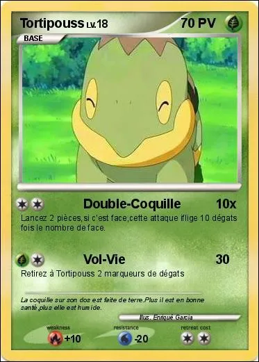 Le Vol-vie de Tortipouss sert  :