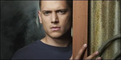 Dans quelle série Wentworth Miller interprète le rôle de Michael Scofield ?