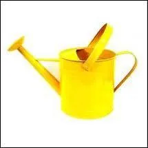 De quelle couleur est cet arrosoir ?