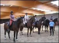 How do you translate 'cavalier' in english ?