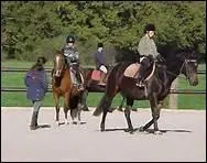 How do you translate 'descendre de cheval' in english ?