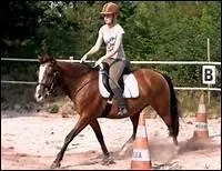 How do you translate 'dessangler' in english ?