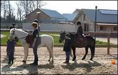 How do you translate 'moniteur' in english ?