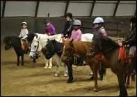 What's a 'riding lesson' ?