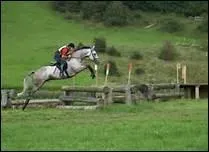 Comment traduit-on 'to change diagonal pair' en franais ?