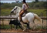 Comment traduit-on 'to change hand' en franais ?