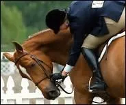 Comment traduit-on 'to change leg' en franais ?