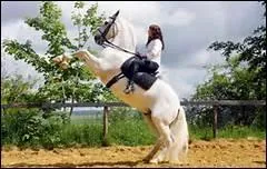 Comment traduit-on 'to cut the corners' en franais ?