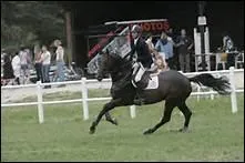 Comment traduit-on 'collection' en franais ?