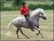 Comment traduit-on 'to collect' en franais ?