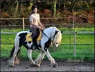 Comment traduit-on 'a ride' en franais ?