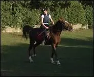 Comment traduit-on 'action of the legs' en franais ?