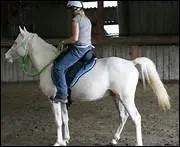 Comment traduit-on 'action of the hands' en franais ?