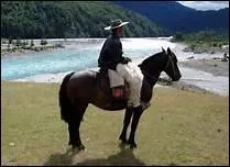 Comment traduit-on 'aids' en franais ?