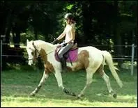 Comment traduit-on 'to adjust reins' en franais ?