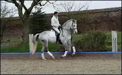 Comment traduit-on 'to give' en franais ?