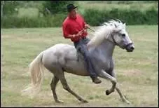 How do you translate 'lgret' in english ?