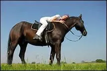 How do you translate 'rcompense' in english ?