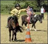 How do you translate 'sentir son cheval' in english ?