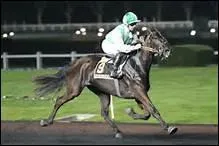 Comment traduit-on 'trot' en franais ?