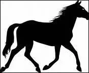 Comment traduit-on 'counter-canter' en franais ?