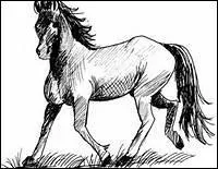 Comment traduit-on 'to pull up' en franais ?