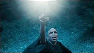 Combien de clones de Harry Potter sortent du 4, Privet Drive, juste avant l'attaque ? (HP7)