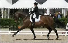 How do you translate 'reculer' in english ?