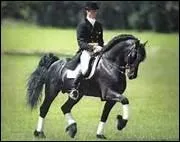 How do you translate 'serpentine' in english ?