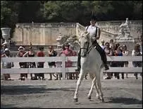 How do you translate 'cercle' in english ?