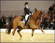 How do you translate 'cession  la jambe' in english ?