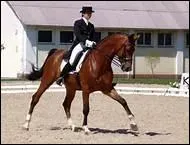 How do you translate 'croupe en dedans' in english ?