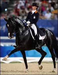 How do you translate 'demi-volte' in english ?